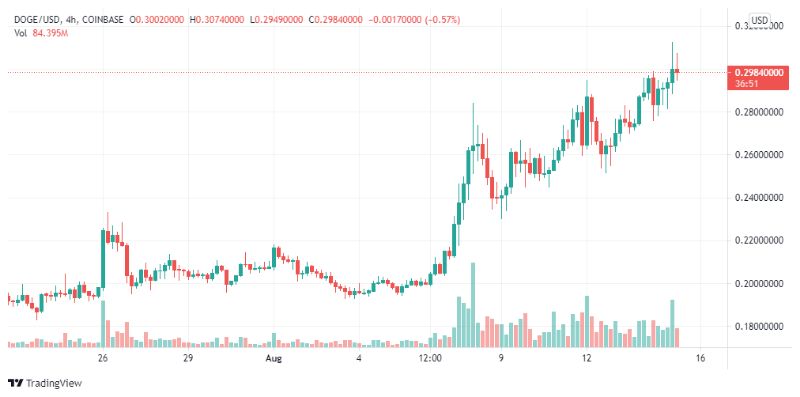 doge-strongest-crypto-payments
