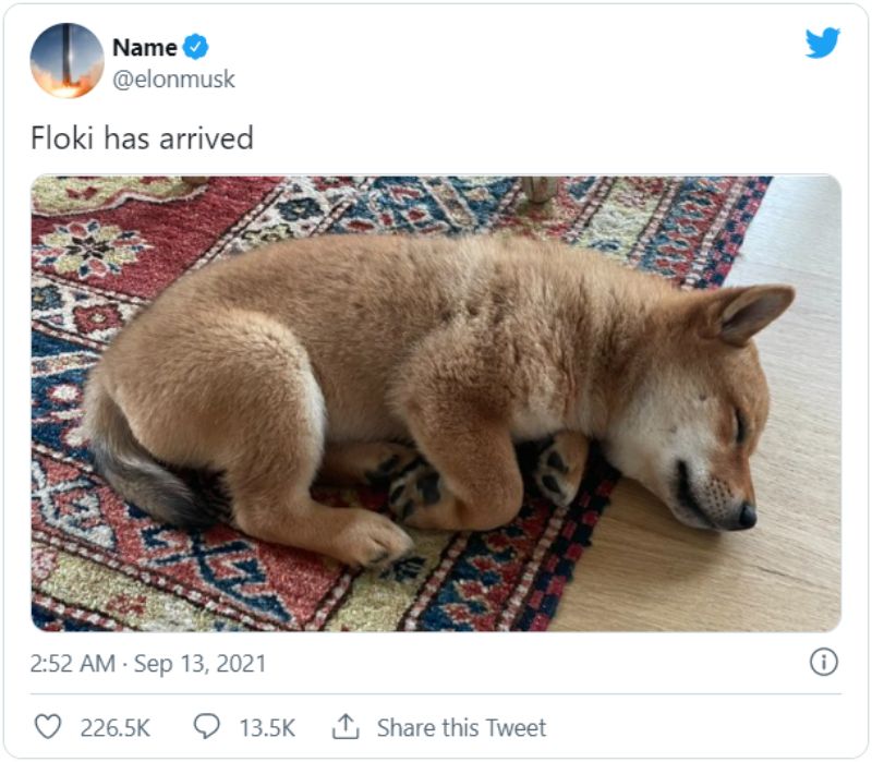 elon-musk-floki-inu