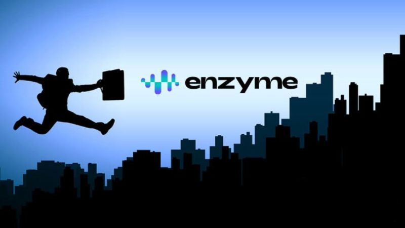 what is Enzyme