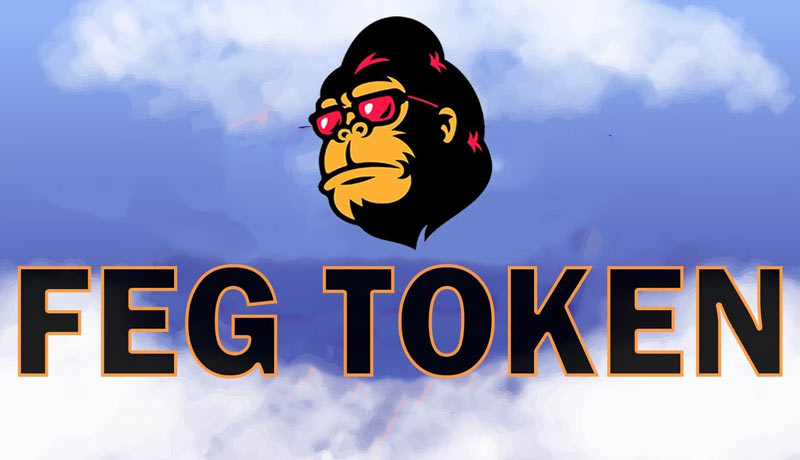 ارز دیجیتال FEG Token