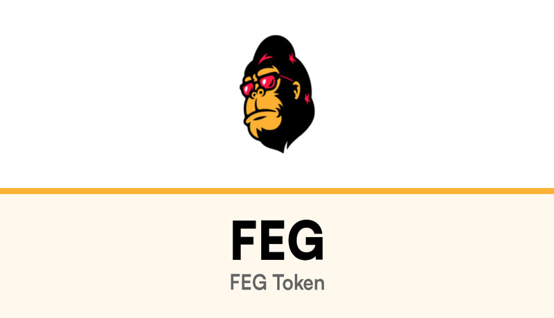 ارز دیجیتال FEG Token