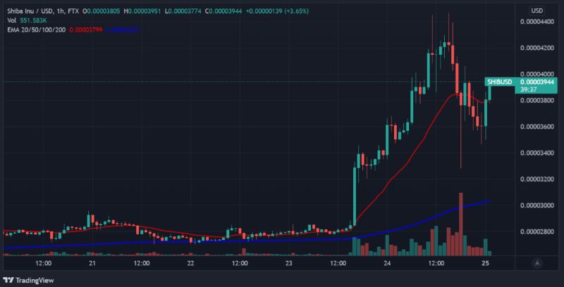 elon-musk-says-he-doesnt-own-shiba-inu