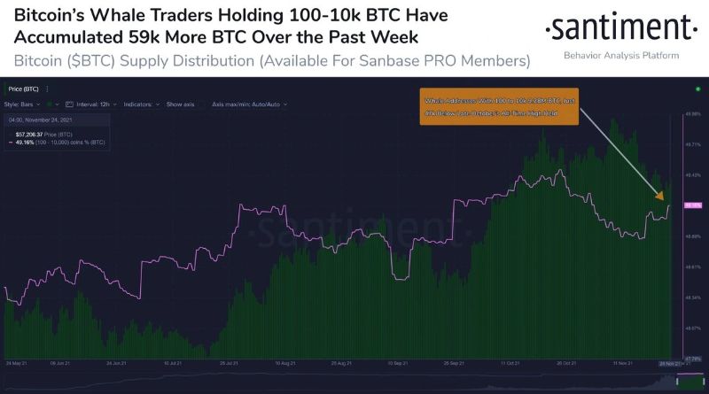 whales-buy-bitcoin