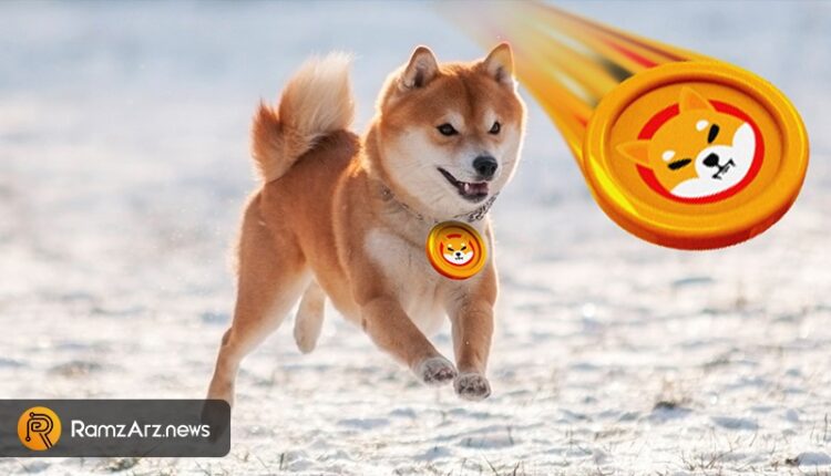 Shiba scam alert