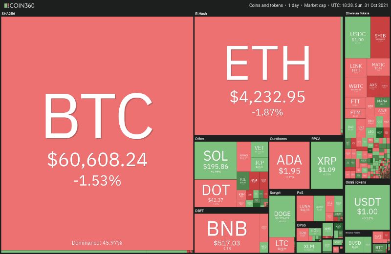 Top 5 cryptocurrencies to watch this week