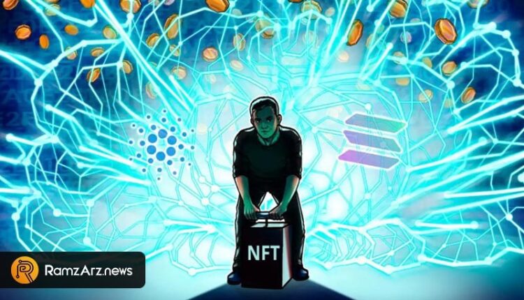 solana-and-cardano-nft-growth