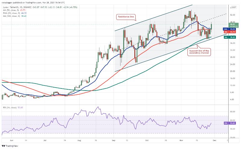 top-5-crypto-this-week