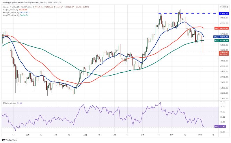 Top 5 cryptocurrencies BTC, ETH, MATIC, ALGO, EGLD