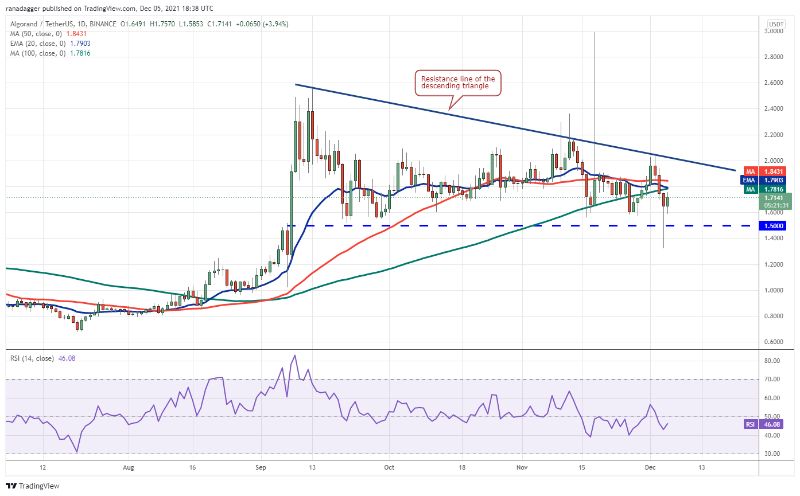 Top 5 cryptocurrencies BTC, ETH, MATIC, ALGO, EGLD