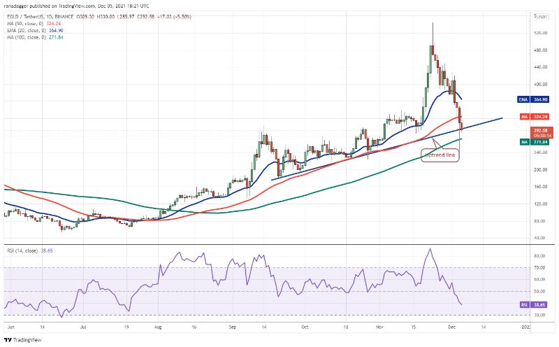 Top 5 cryptocurrencies BTC, ETH, MATIC, ALGO, EGLD