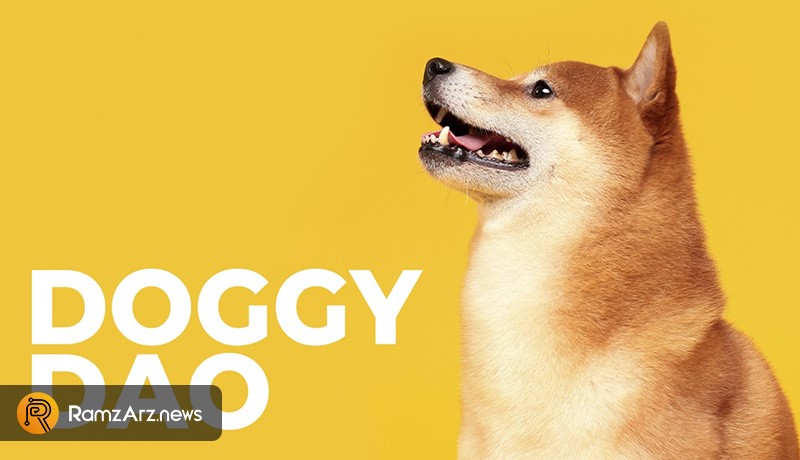 shiba-inu-doggy-dao