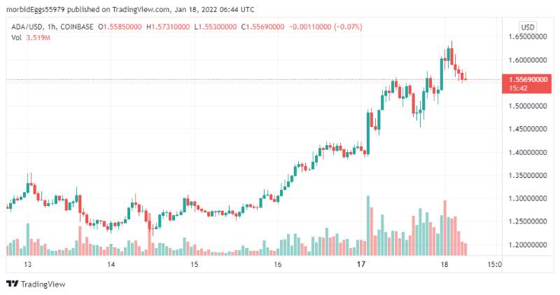 cardano-hits-bottom