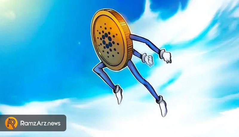 Cardano daily transaction volume surges