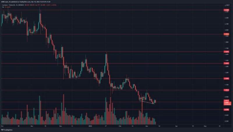 Cardano-holers-must-see-this-analysis