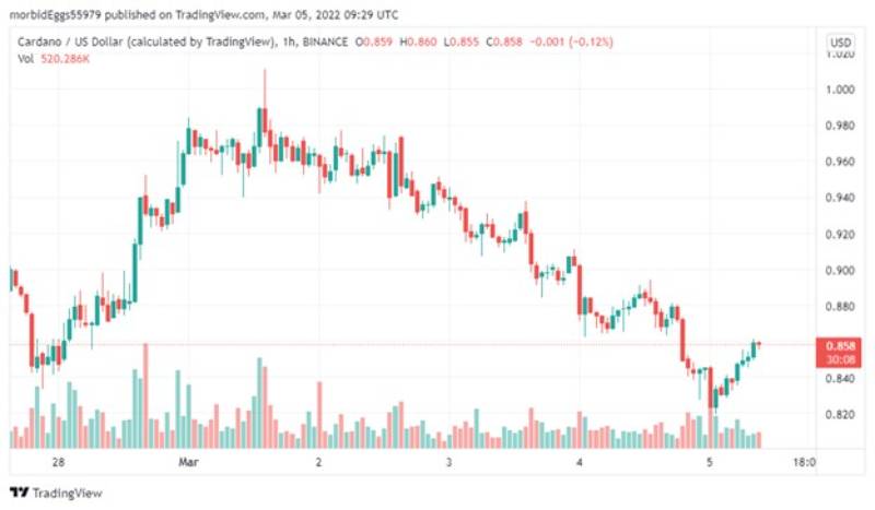 cardano-whales-hoard-during-plunge