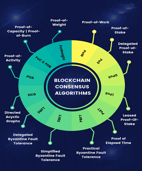 What Is The Blockchain Development Cycle And What Are The Steps? - DED9