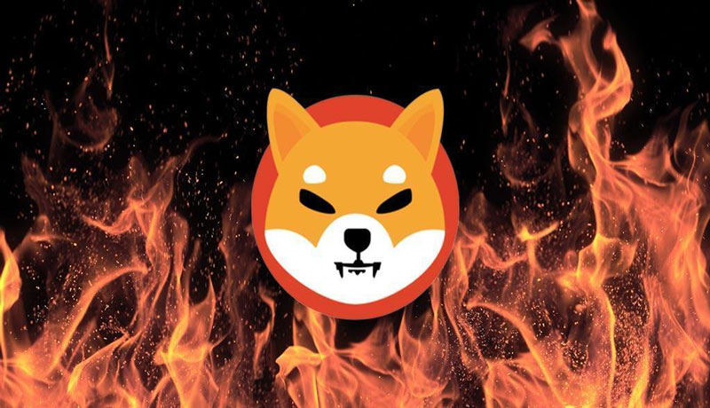shiba-burn