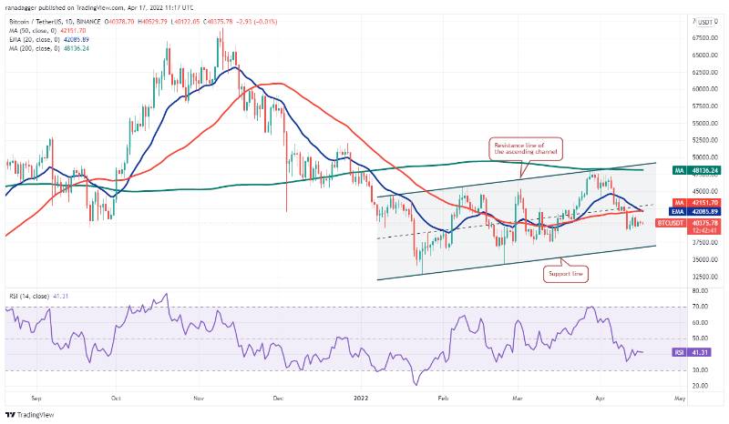 Btc-xrp-link-bch-fil-week-price