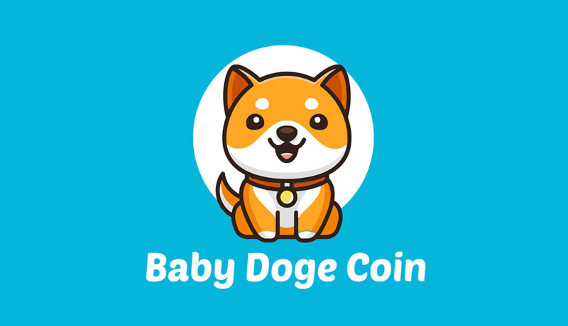 baby-doge