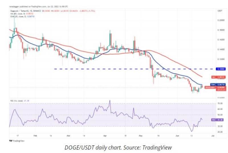 Doge-shib-price-analysis-22-June