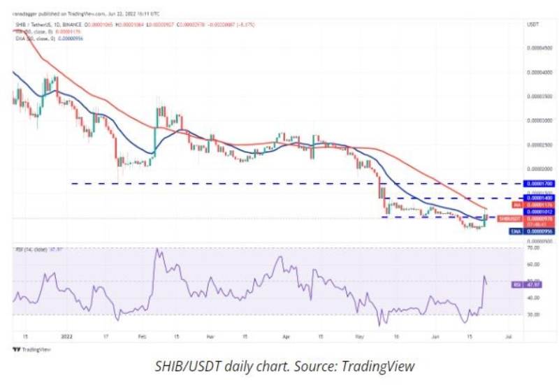 Doge-shib-price-analysis-22-June