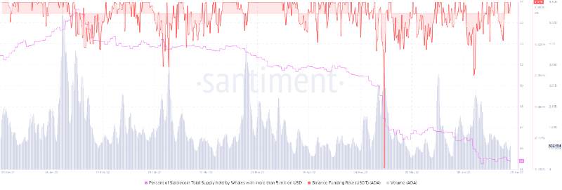 cardano-ada-a-bull-marathon
