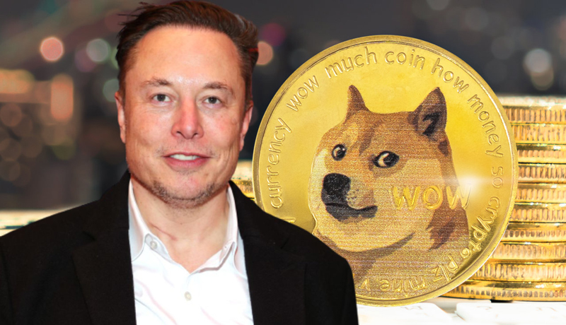elon-musk-is-buying-more-dogecoin