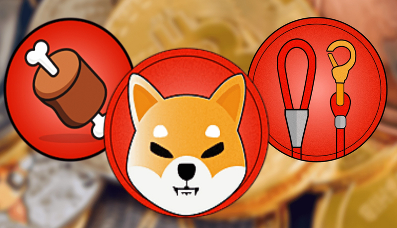 shiba-inu-bone-and-leash-list-on-leading-estonian-exchange-details