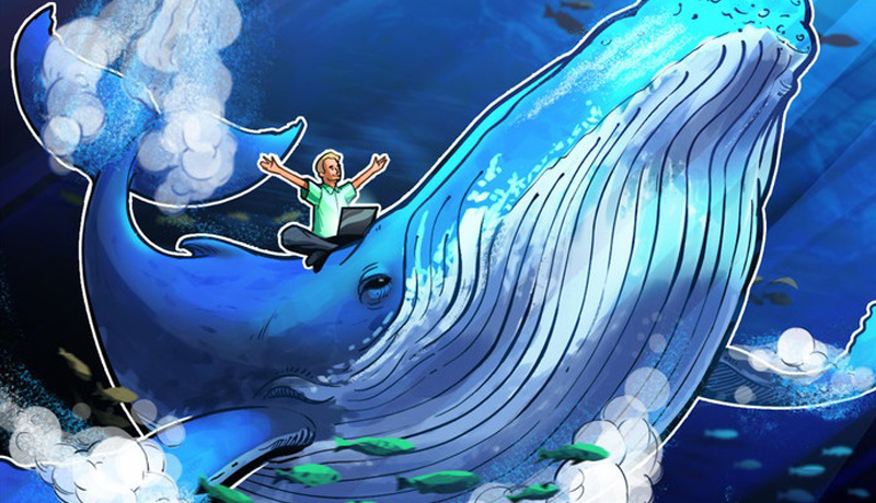 solend-invalidates-solana-whale-wallet-takeover-plan-with-second-governance-vote