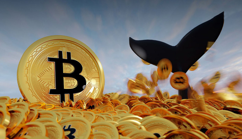 anonymous-btc-whale-transfers-46000-btc-but-no-one-knows-why