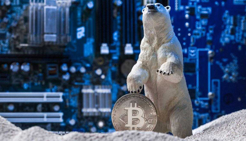 crypto-winter-presents-an-opportunity-amid-chaos-says-asset-group-exec