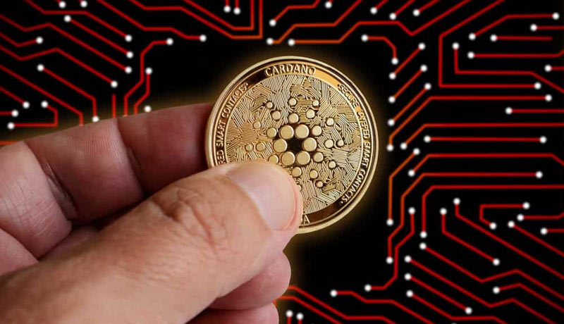 diamond-hands-coinbase-data-shows-stronger-accumulation-trend-for-ada-than-other-top-cryptos