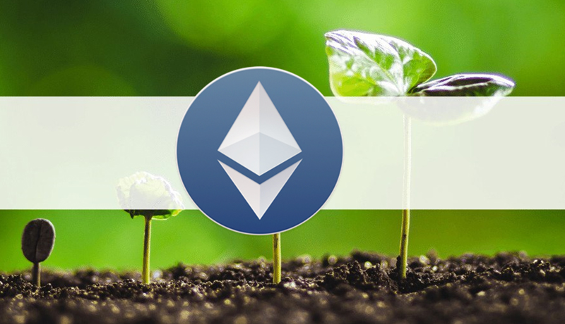 ethereum-to-hit-14k-in-less-than-a-decade-survey