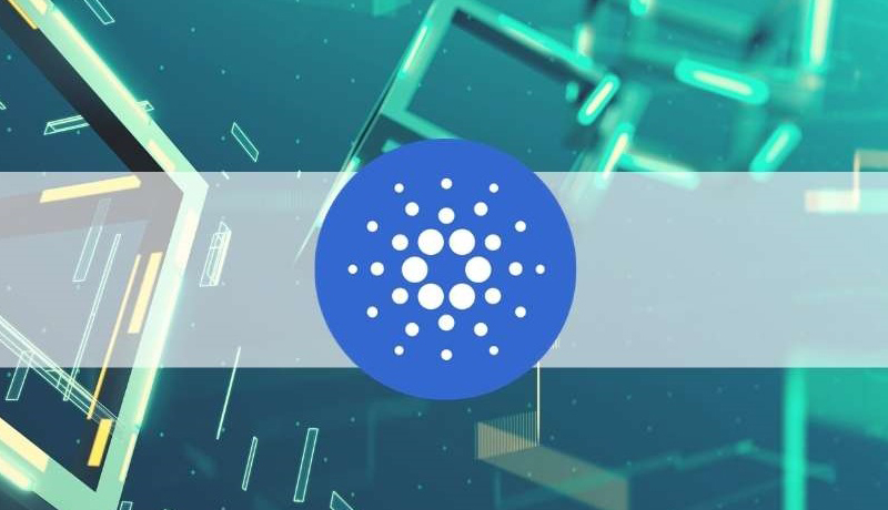 ledger-adds-support-for-100-cardano-native-tokens