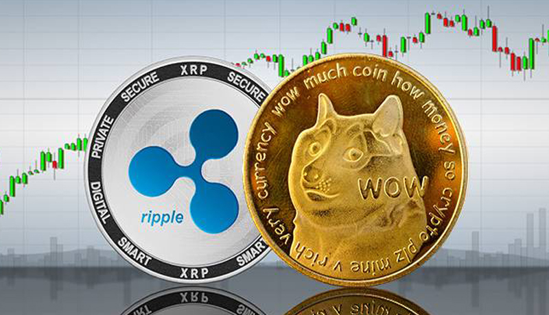 xrp-and-doge-prices-wake-up-according-to-this-new-metric
