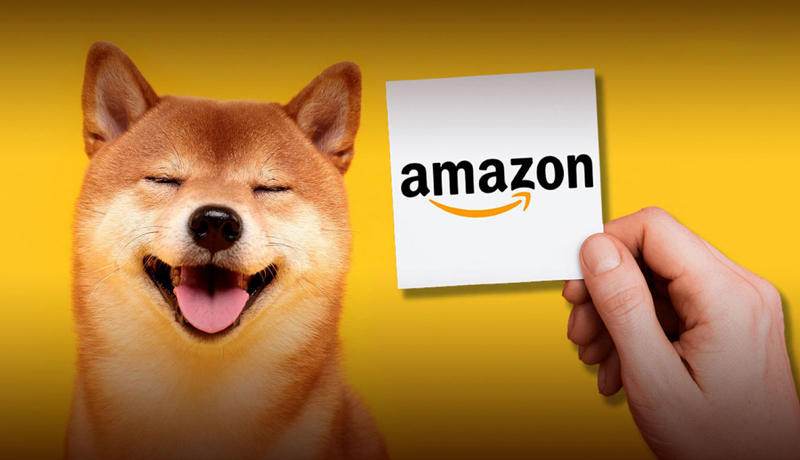 amazon-proved-to-be-shib-solid-daily-burner-shib-burn-portal