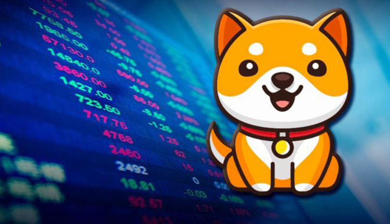 babydoge-coin-listed-on-this-major-exchange-details