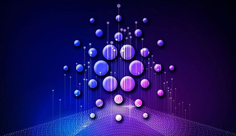 cardano-ada-beats-dogecoin-ethereum-and-bitcoin-in-on-chain-transfer-volume-growth