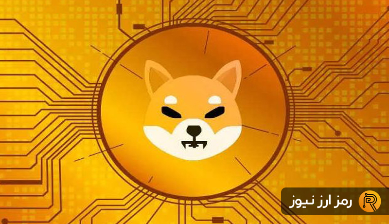 shiba-inu-eyes-50%-rally