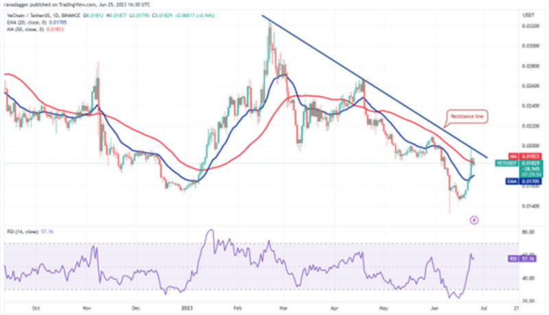 نمودار روزانه VET/USDT. نمودار روزانه VET/USDT.
