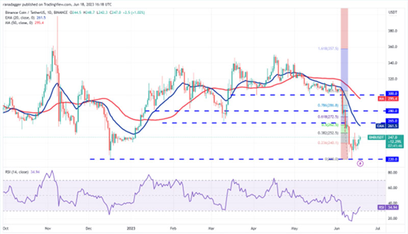 نمودار روزانه BNB/USDT.