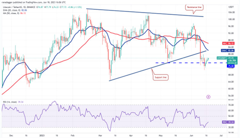 نمودار روزانه LTC/USDT.