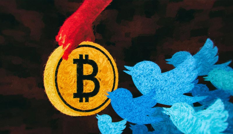 elon-musk-x-crypto-payments-stripe-dogecoin-bitcoin
