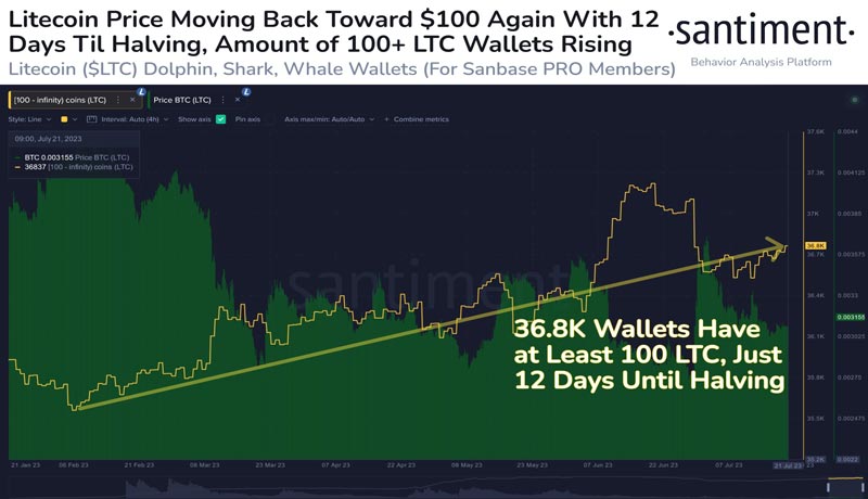 litecoin-continues-see-adoption-halving-approaches