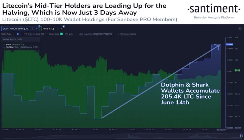 litecoin-whales-buy-halving