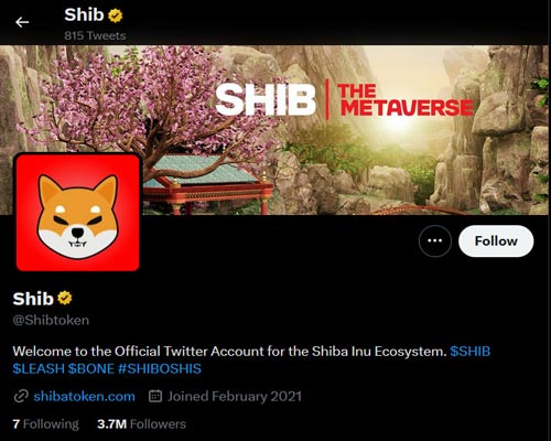 shiba-inu-account-sports-new-gold-check-mark