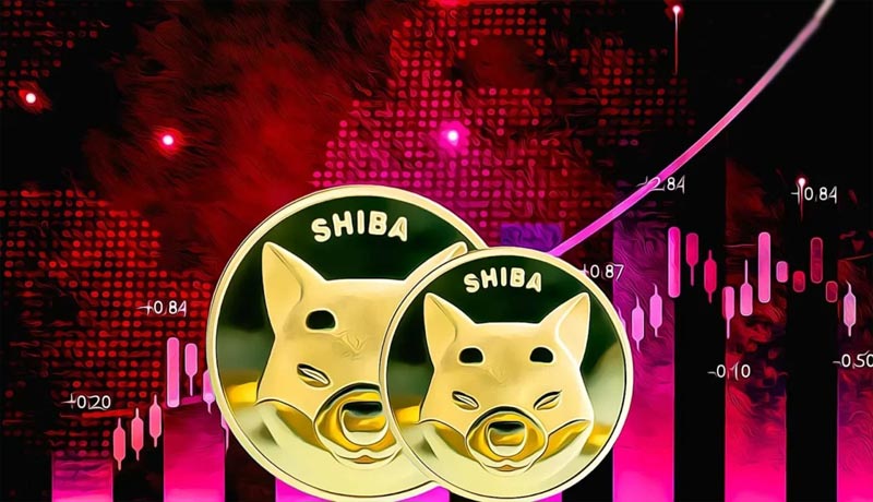 will-shiba-inu-price-recover-to-0-00001-key-support-levels-to-watch