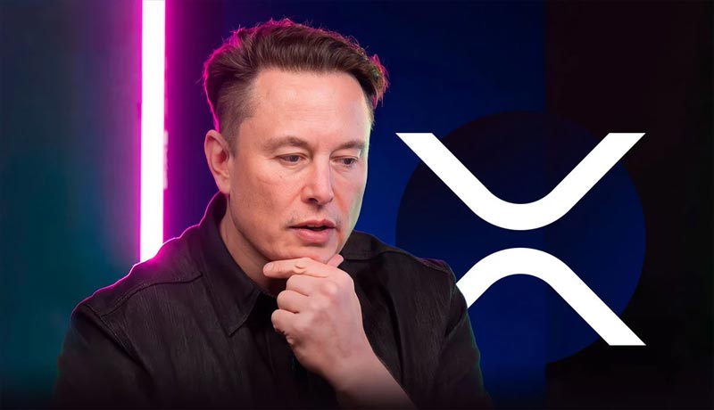 xrp-army-happy-with-elon-musks-new-tweet-heres-why