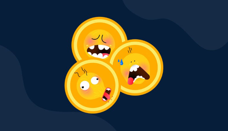 ساخت میم کوین