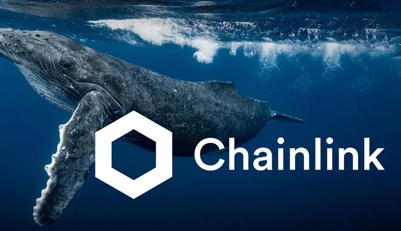 chainlink-whale-accumulation-is-strong-link-price-can-rally-50-